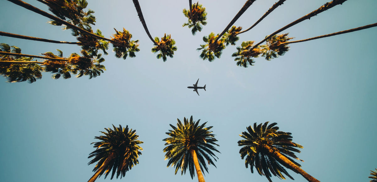 Alaska, Hawaiian Airlines Consolidate Check-In Operations at JFK and LAX Airports