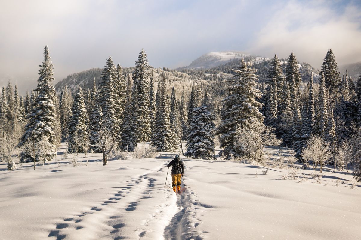 From Heli-Skiing to Snowshoeing: A Guide to the World’s Most Epic Winter Travel Experiences
