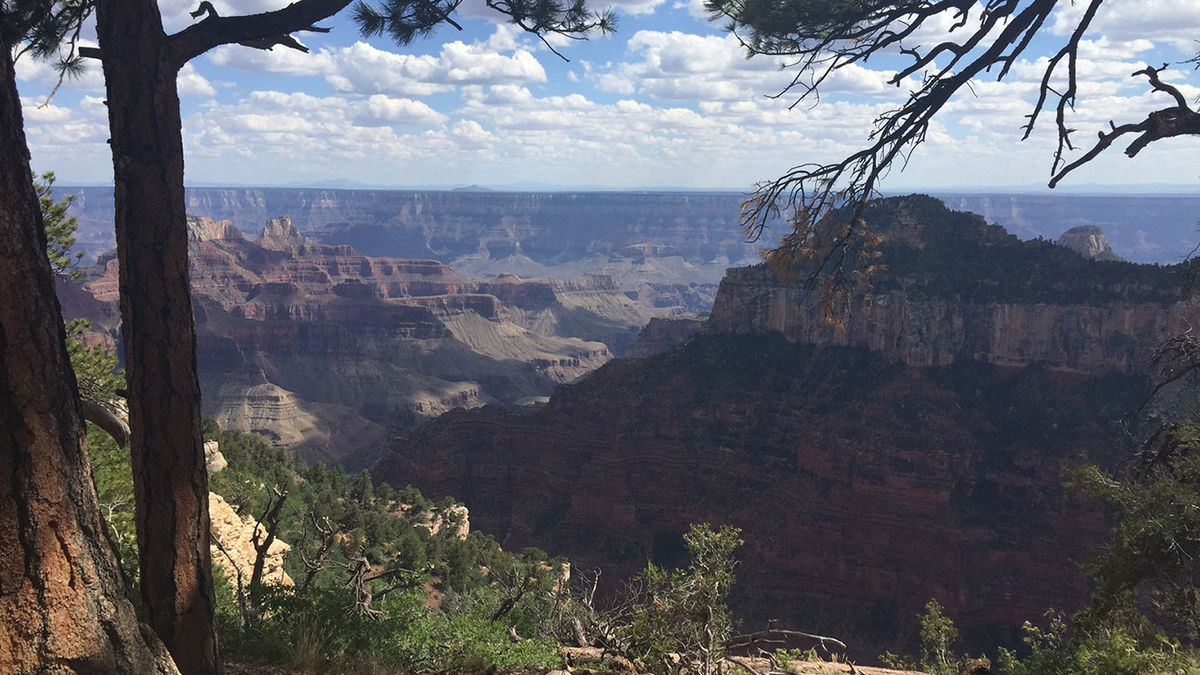 Grand Canyon's North Rim Sets Reopening Date