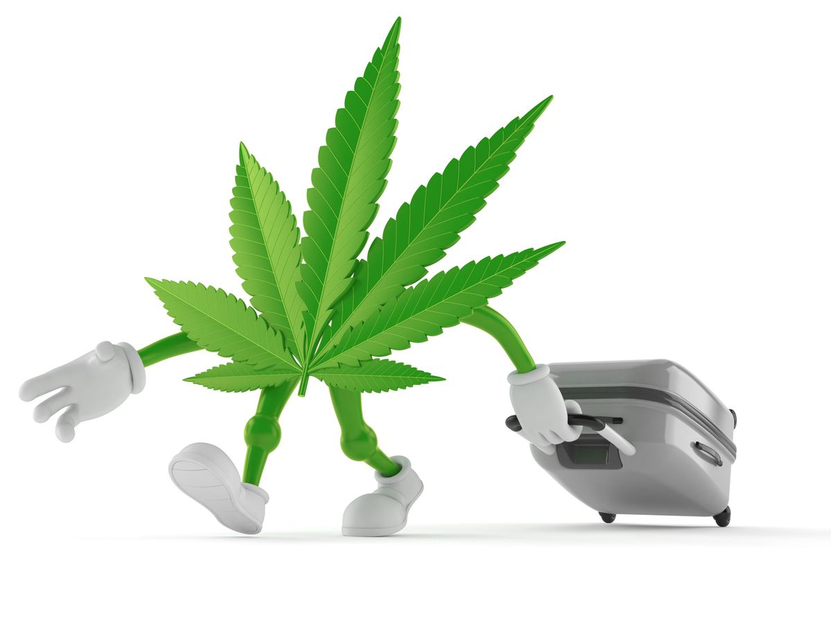 Best Destinations for Marijuana-Friendly Vacations