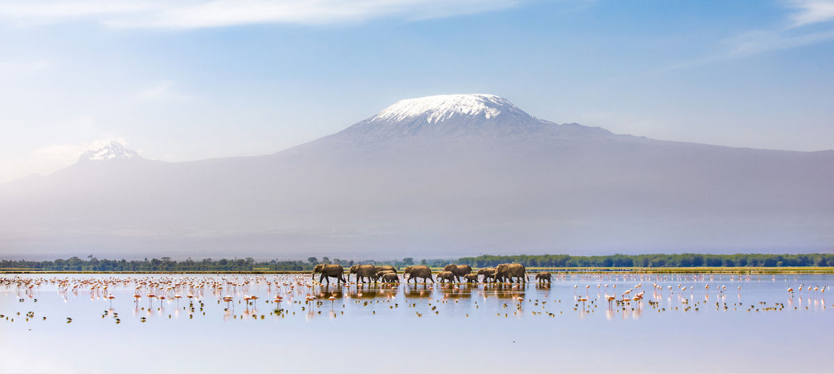 Kenya Leading Africa’s Travel and Tourism Growth