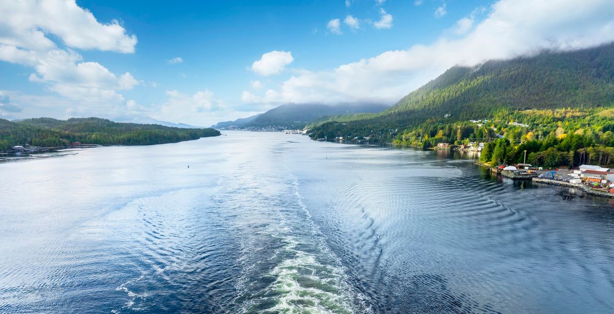 Travel Trends Impacting Booking Patterns, According to MSC Cruises