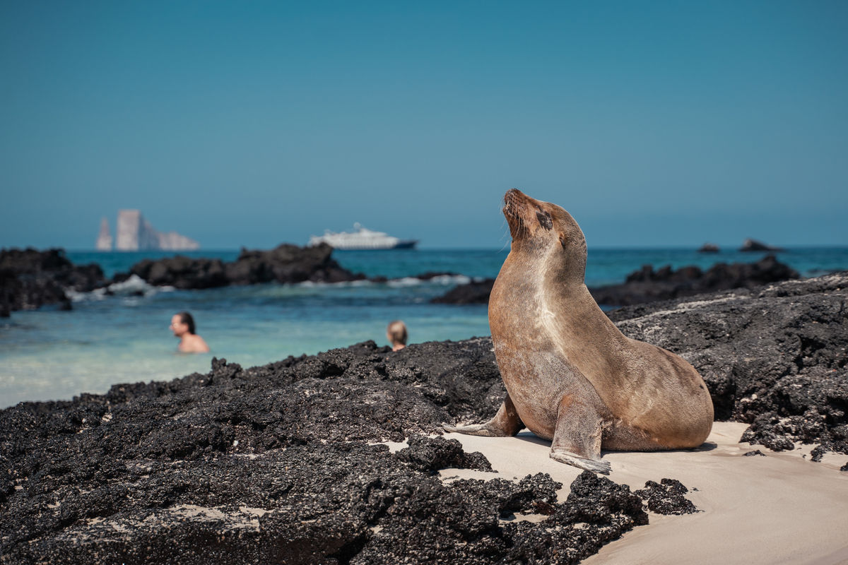 Frequently Asked Questions About The Unique Galápagos Islands