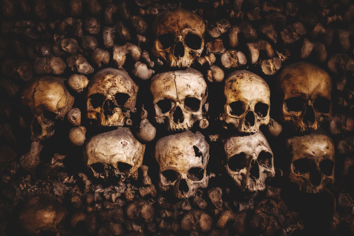 Dark Tourism Market Poised for Growth, Projected to Reach .82 Billion by 2034 Dark Tourism Market Poised for Growth, Projected to Reach .82 Billion by 2034