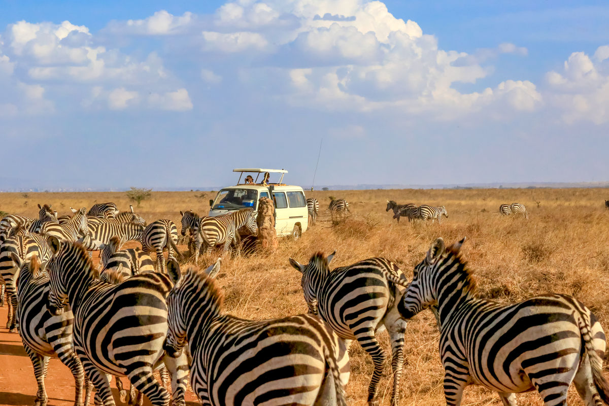 Finding Your Edge: Why Some Travel Advisors Specialize in Exotic Niches
