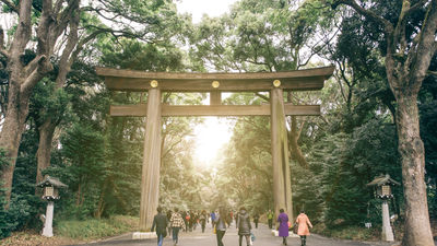 Some 35% of Japanese surveyed say that they don't intend to travel ever again.