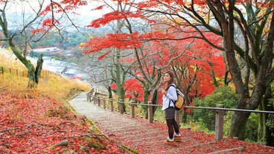 Japan is Singaporeans' top travel destination, followed by Malaysia and Thailand.