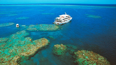 Australia’s Great Barrier Reef responds to deaths of swimmers.