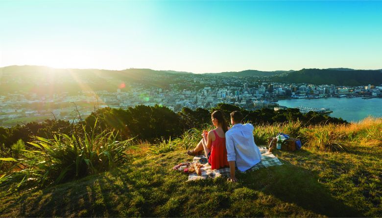 Take a picnic to the top of Mount Victoria for panoramic views of Wellington in New Zealand.