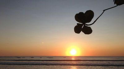 Bali governor heeds calls for a peace park.