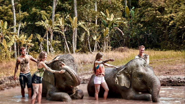 Get down and dirty with the Sumatran Elephants at Bali Zoo.