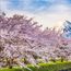 North of Japan’s Fuji is fast becoming more Muslim-friendly