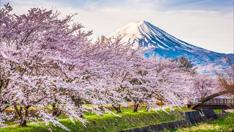 More Muslim travellers are visiting Japan’s Yamanashi prefecture, which is near to the famed Mount Fuji.