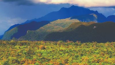 Gunung Mulu National Park in Borneo.