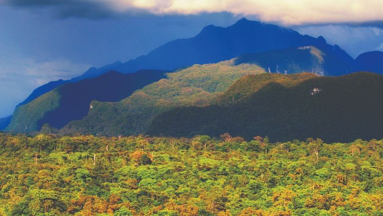 Gunung Mulu National Park in Borneo.