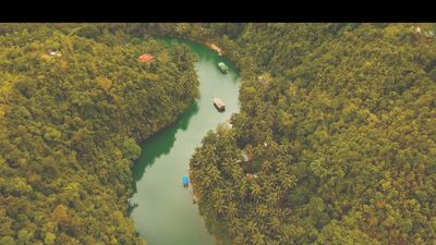 Loboc river in the rainforest Philippines, Bohol