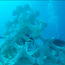 World’s largest 3-D printed reef installed at Summer Island Maldives