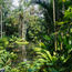 An ethnobotany garden? (You heard that right)