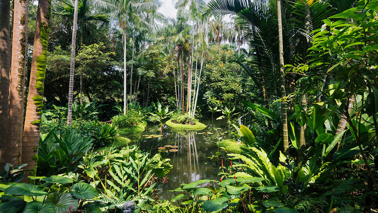 A new ethnobotany garden has opened in Singapore Botanic Gardens.