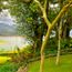 Sri Lanka eyes incentives to encourage 2019 travel