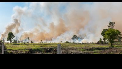 Pollution from agricultural burning farm fields in Thailand.