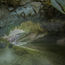 Work underway to attract tourists to site of cave rescue
