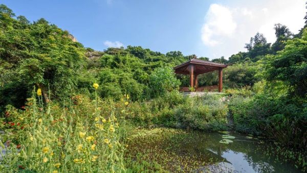 Numerous green and serene afternoons can be spent at Macau's greenways, such as at Seac Pai Wan Park.