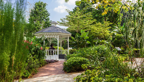 HortPark’s 13 themed gardens teem with tropical greenery – a perfect space where nature lovers can unwind. HortPark’s 13 themed gardens teem with tropical greenery – a perfect space where nature lovers can unwind.