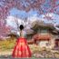 Join the hunt in unearthing Seoul’s hidden gems