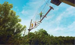 Challenging an elevated obstacle course together at Mega Adventure Park is a great way for families to bond and create lasting memories.