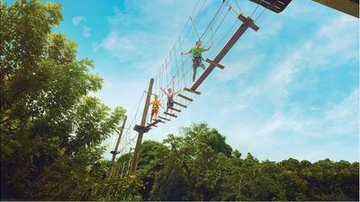 Challenging an elevated obstacle course together at Mega Adventure Park is a great way for families to bond and create lasting memories.