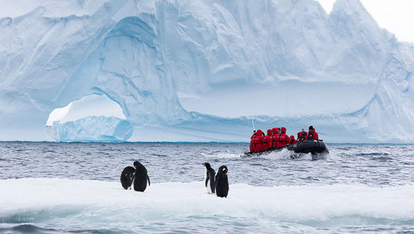 Silversea expedition cruises, guided by naturalist experts, offer wildlife spotting opportunities both from the comfort of the ships and during excursions aboard Zodiac boats.