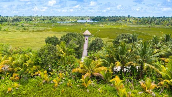 Relatively straightforward entry requirements in Maldives. Relatively straightforward entry requirements in Maldives.