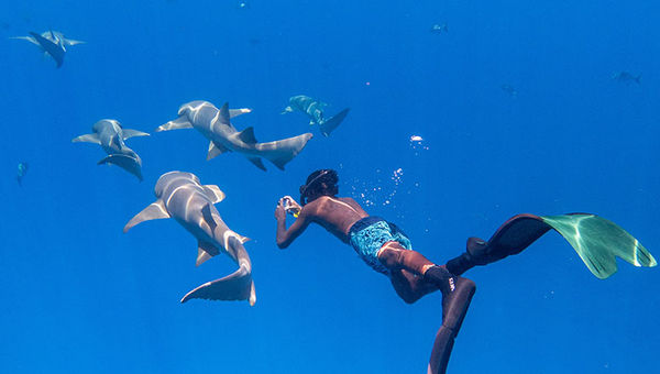 Kandolhu Maldives offer a wide range of immersive underwater activities from manta ray and whale shark spotting to reef hopping and wreck diving. Kandolhu Maldives offer a wide range of immersive underwater activities from manta ray and whale shark spotting to reef hopping and wreck diving.