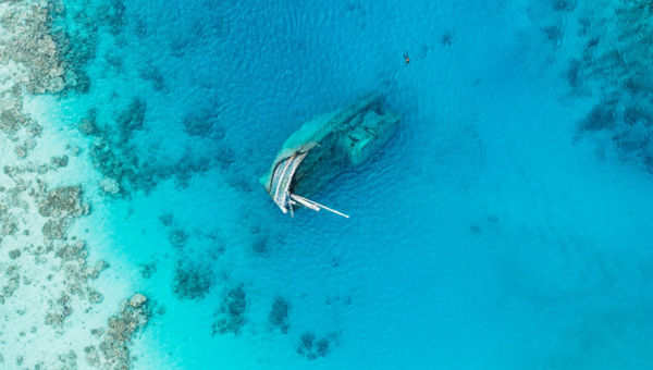 The Maldives is home to an abundance of shipwrecks that allow divers to safely explore waterlogged chambers and come face-to-face with blooming ecosystems that have taken over the vessel.