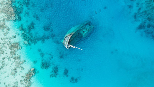 The Maldives is home to an abundance of shipwrecks that allow divers to safely explore waterlogged chambers and come face-to-face with blooming ecosystems that have taken over the vessel. The Maldives is home to an abundance of shipwrecks that allow divers to safely explore waterlogged chambers and come face-to-face with blooming ecosystems that have taken over the vessel.