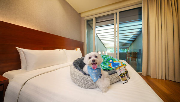 Pet owners can enjoy quality time with their fur babies during the “Paw-fect Retreat” with plenty of to-dos and treats for the little ones. Pet owners can enjoy quality time with their fur babies during the “Paw-fect Retreat” with plenty of to-dos and treats for the little ones.