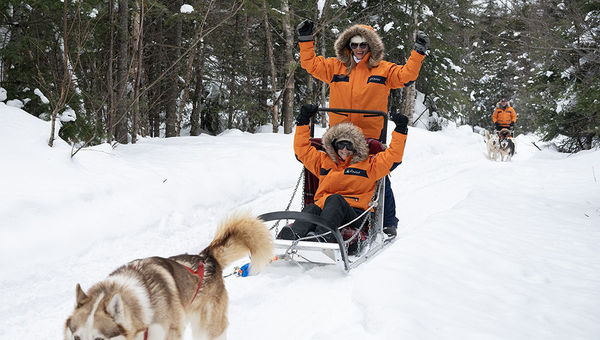 Guests sailing on Le Commandant Charcot can embark on thrilling dog sledding excursions across the Arctic, guided by experienced mushers. Guests sailing on Le Commandant Charcot can embark on thrilling dog sledding excursions across the Arctic, guided by experienced mushers.