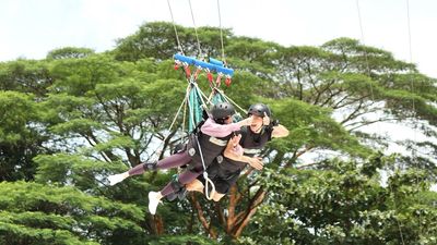 AJ Hackett Sentosa’s high-speed tandem swings can accommodate up to three guests at one time, taking them up to speeds of 120km/hr.