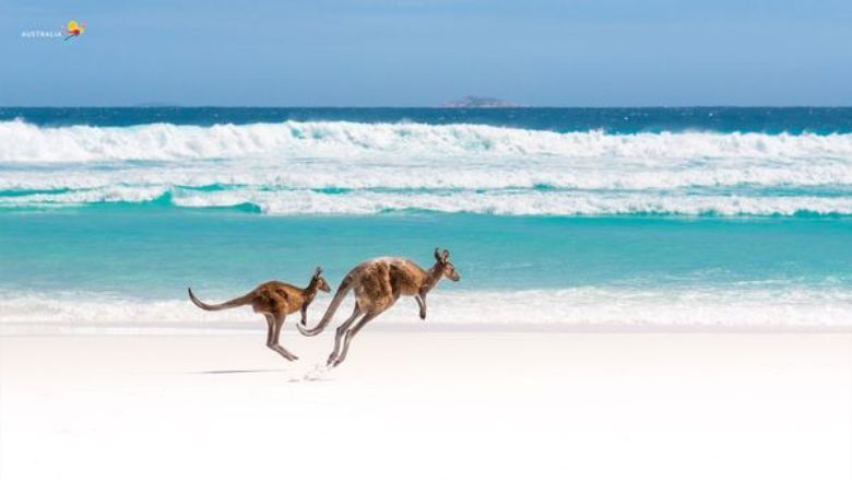 Tourism Australia’s iconic images replace sketchy home décor backgrounds for impact on Zoom