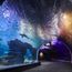 Dive into South Korea's new underwater playground
