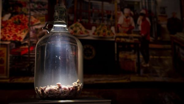 A display of mouse wine, rice wine traditionally infused with blind, hairless baby mice and matured for at least a year, at the Disgusting Food Museum. A display of mouse wine, rice wine traditionally infused with blind, hairless baby mice and matured for at least a year, at the Disgusting Food Museum.