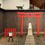 A cat museum with no cats?
