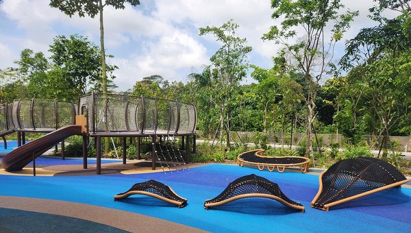 The Pangolin Adventure, one of two pangolin-inspired play areas in Mandai Wildlife West.