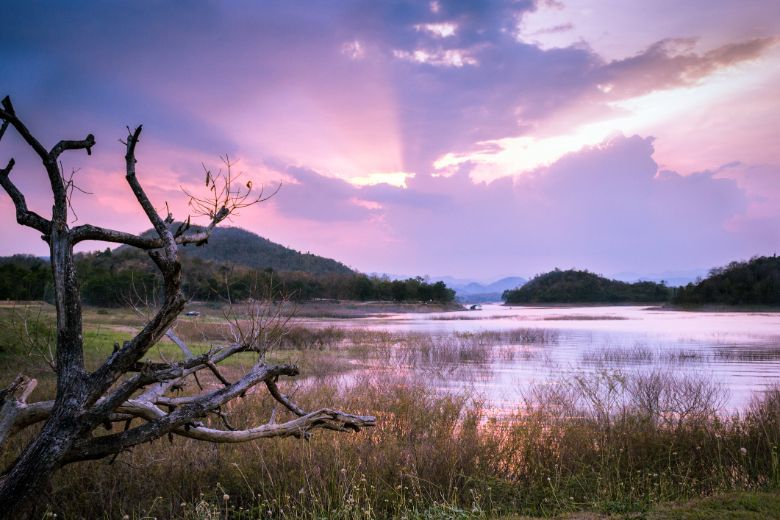 Newly inscribed is Kaeng Krachan Forest Complex, which spans some 640 million sqm across Thailand's three provinces of Prachuap Khiri Khan, Phetchaburi and Ratchaburi.