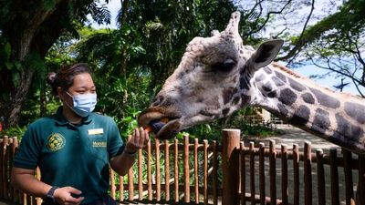 New uniforms complete the brand makeover for Mandai Wildlife Group.