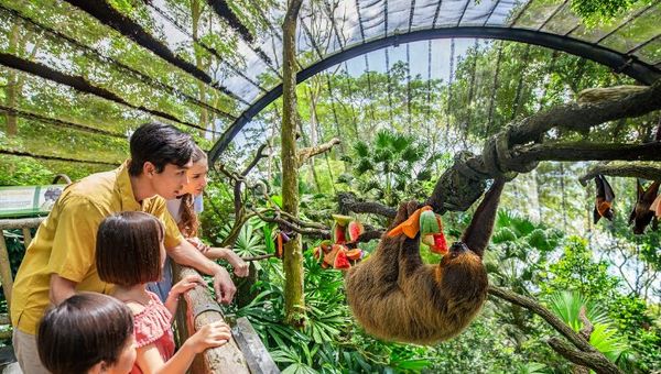 Travellers with the Go City Singapore pass prefer visiting the zoo than Universal Studios Singapore.