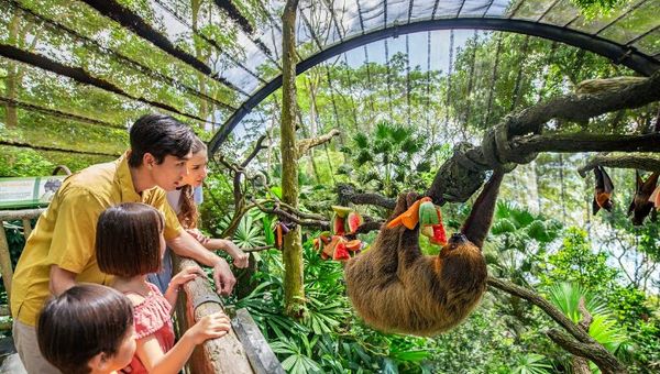 Travellers with the Go City Singapore pass prefer visiting the zoo than Universal Studios Singapore. Travellers with the Go City Singapore pass prefer visiting the zoo than Universal Studios Singapore.