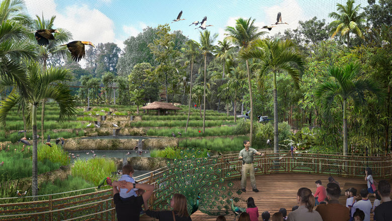 The former Jurong Bird Park is currently being converted into the larger, more expansive Bird Paradise.
