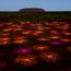 Uluru’s iconic Field of Light to shine until 2029